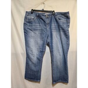 ZCO Premium Embellished Jeans  Stretchy Women's Size 24